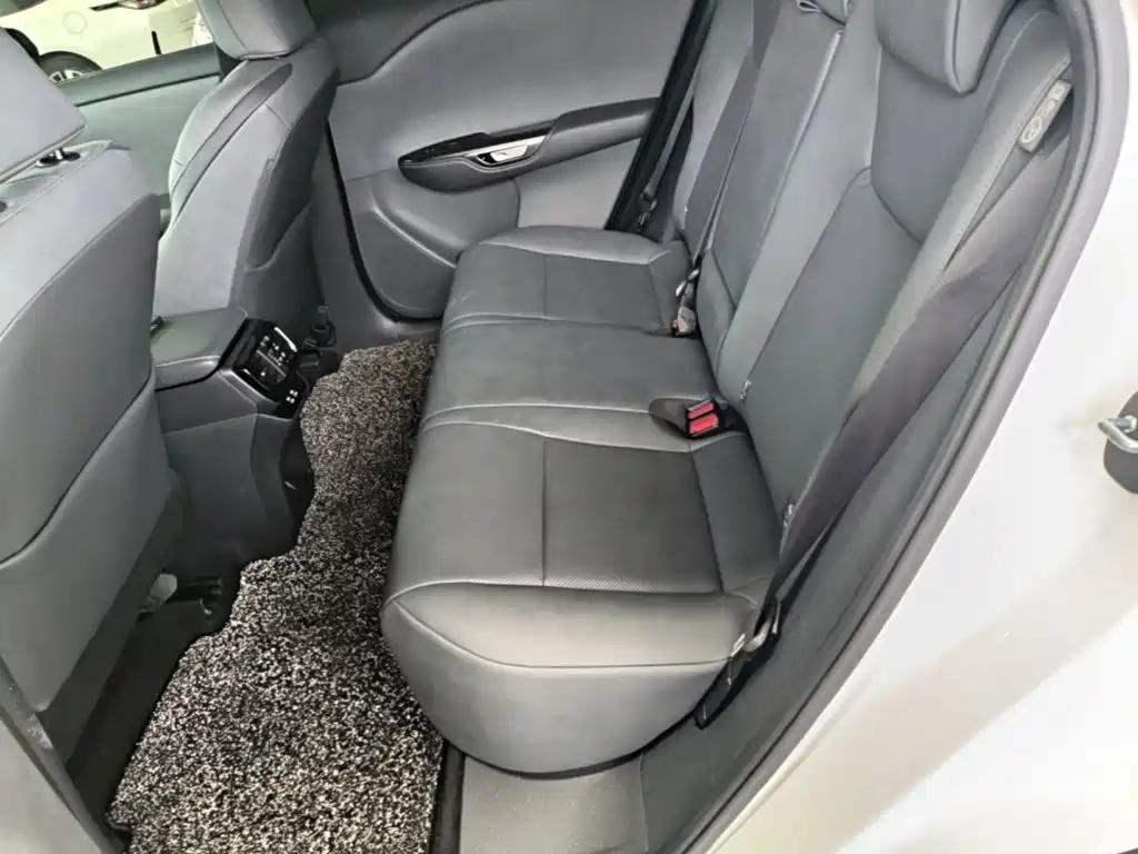 Lexus RZ 2024 2023 300e Long Range Luxury Edition