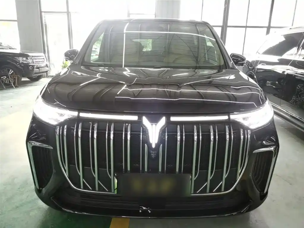 Voyah Auto Voyah Dreamer 2024 PHEV Extended Range Flagship Edition фото 3