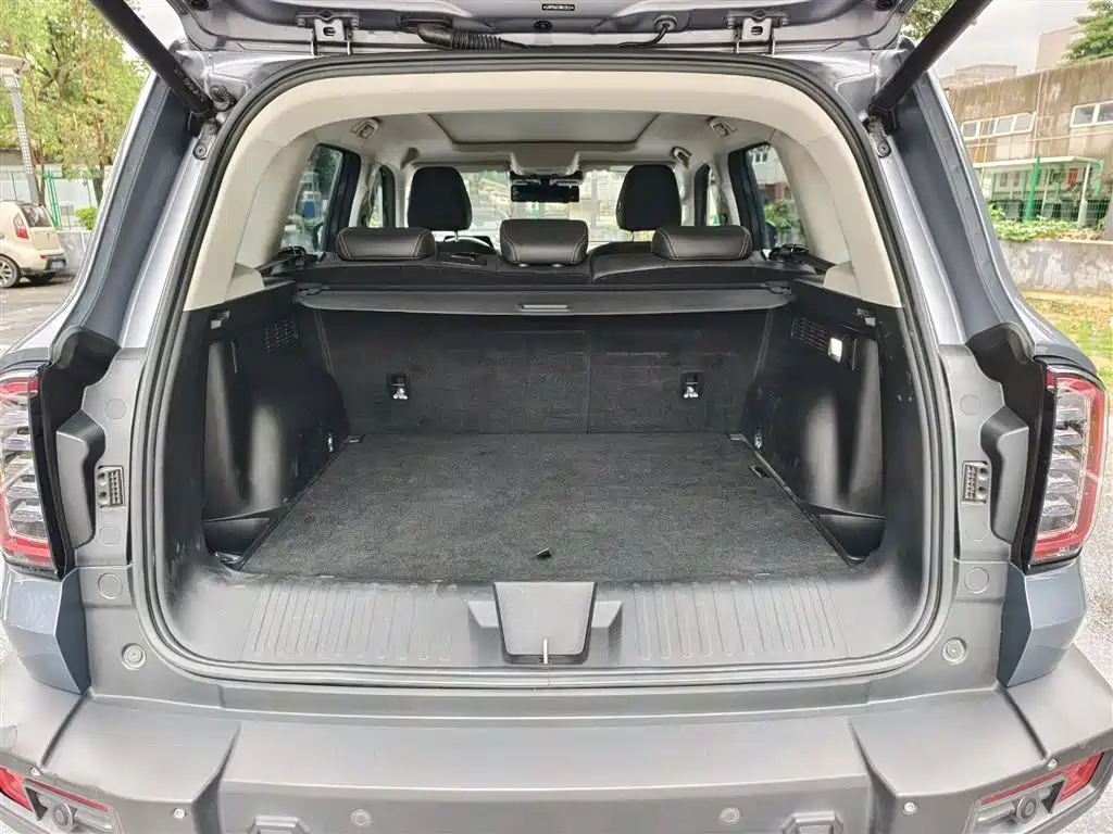 Haval Big Dog 2022 2.0T DCT 4WD Chinese Rural Dog Hunting Edition фото 9