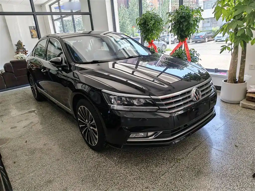 Volkswagen Passat 2016 330TSI DSG Executive Edition фото 2