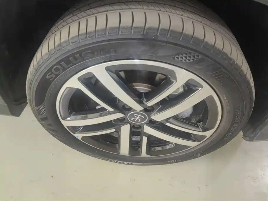 BYD Song L DM-i 2024 112km Leading Edition фото 6