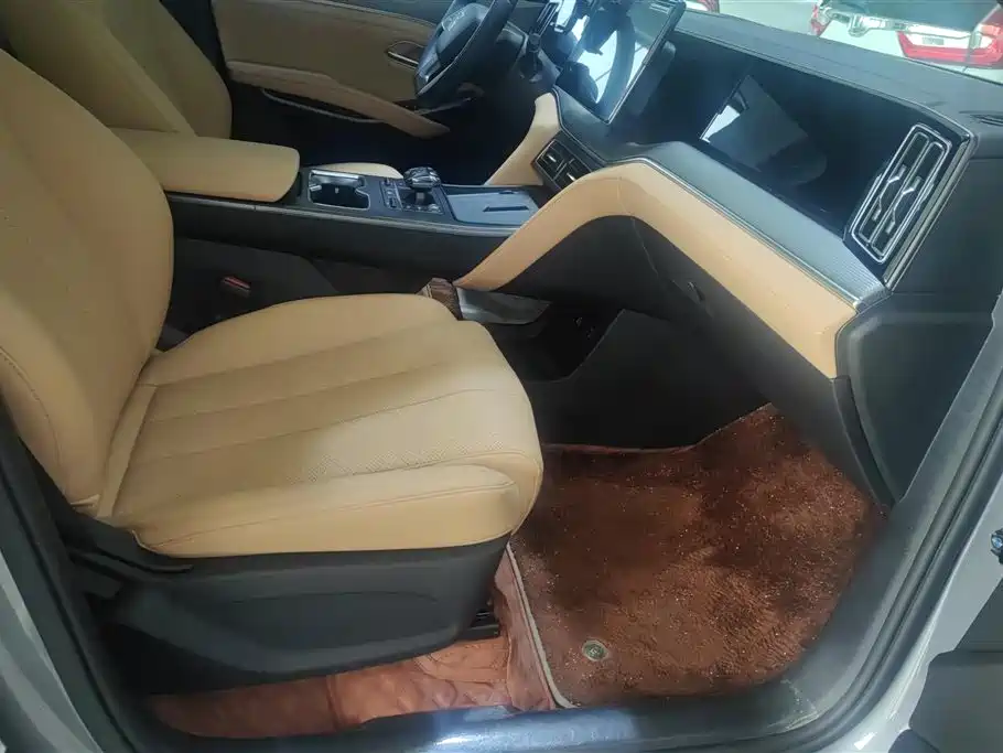 BYD Song L DM-i 2024 112km Leading Edition фото 8