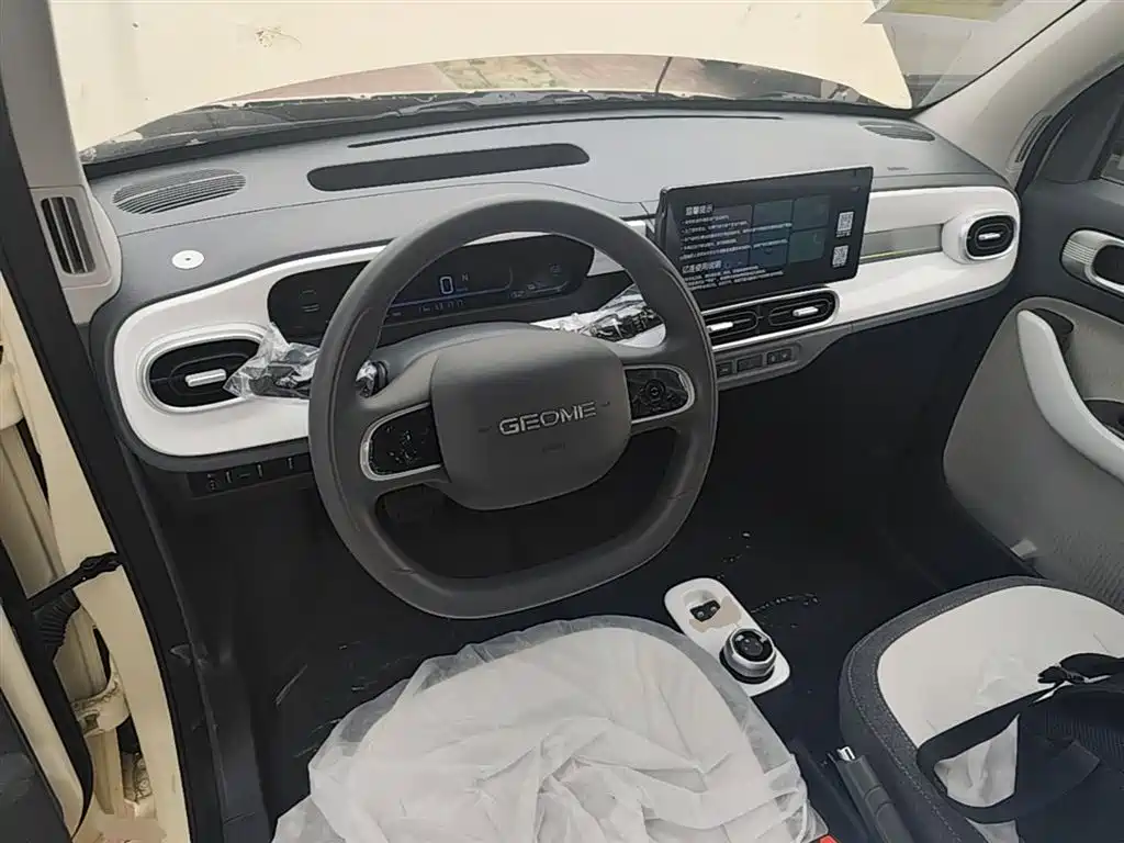 Geely Galaxy Panda 2025 Panda mini 210km Vitality Bear фото 10