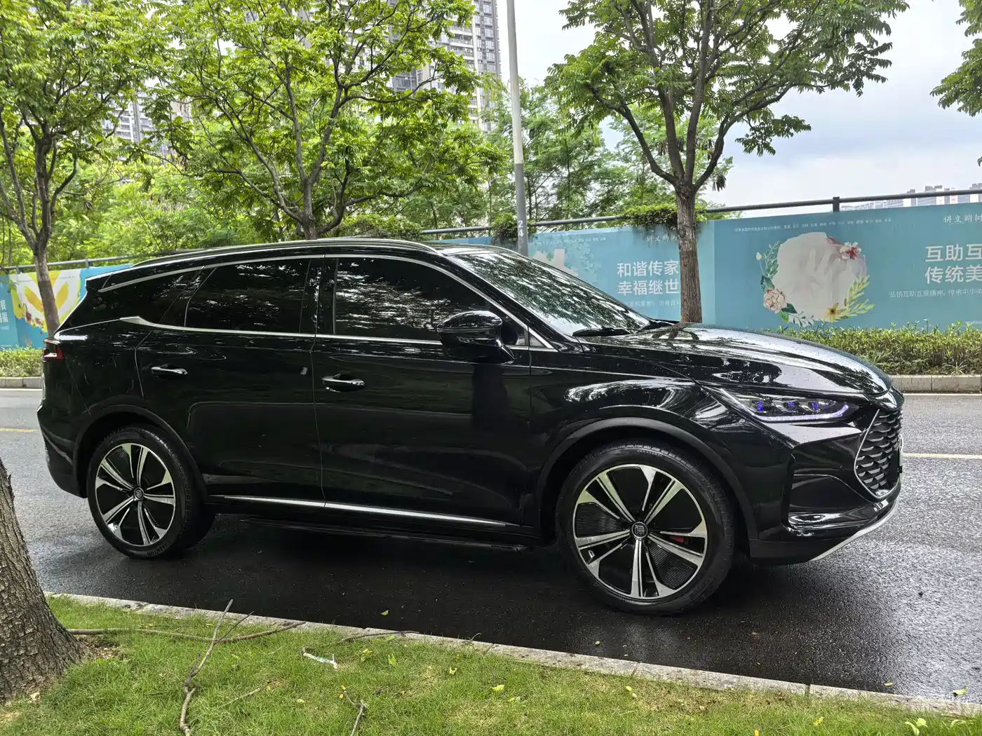 BYD Tang New Energy 2022 DM-p 215KM AWD Executive фото 4