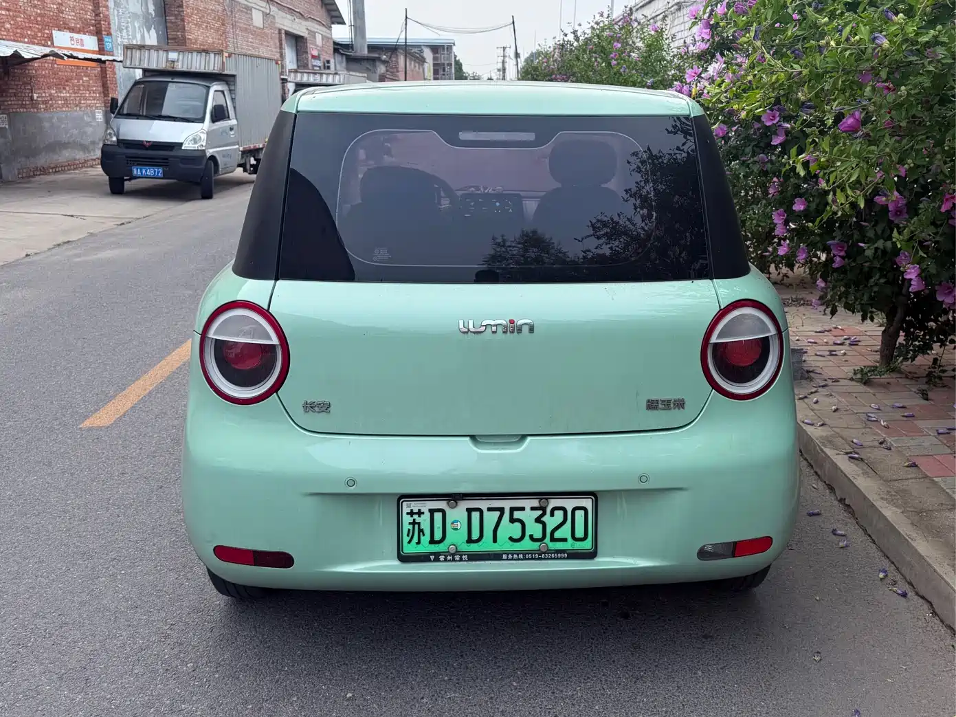 Changan Qiyuan Changan Lumin 2022 2022 155km Fresh Edition