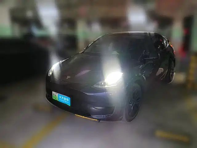 Tesla Model Y 2024