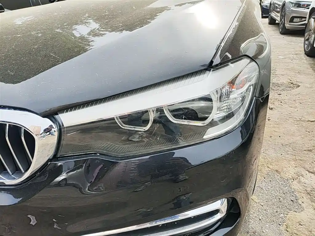 BMW 5 Series 2018 Facelift 530Li xDrive Luxury Package фото 23