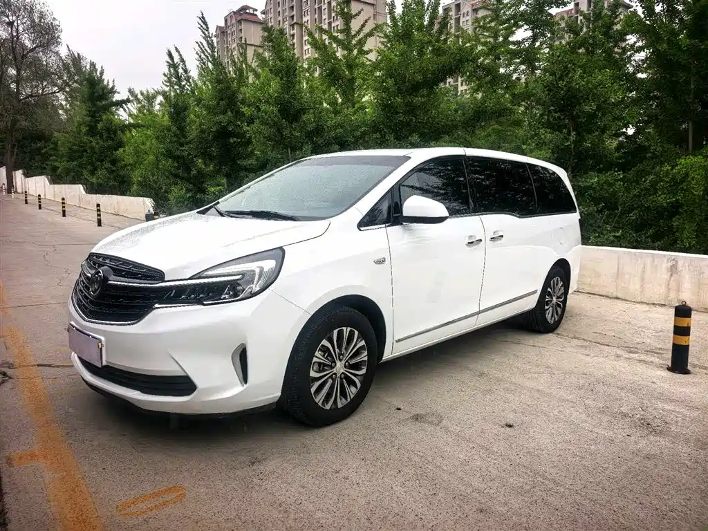 Buick GL8 2020 Model Land Business Class 652T Luxury
