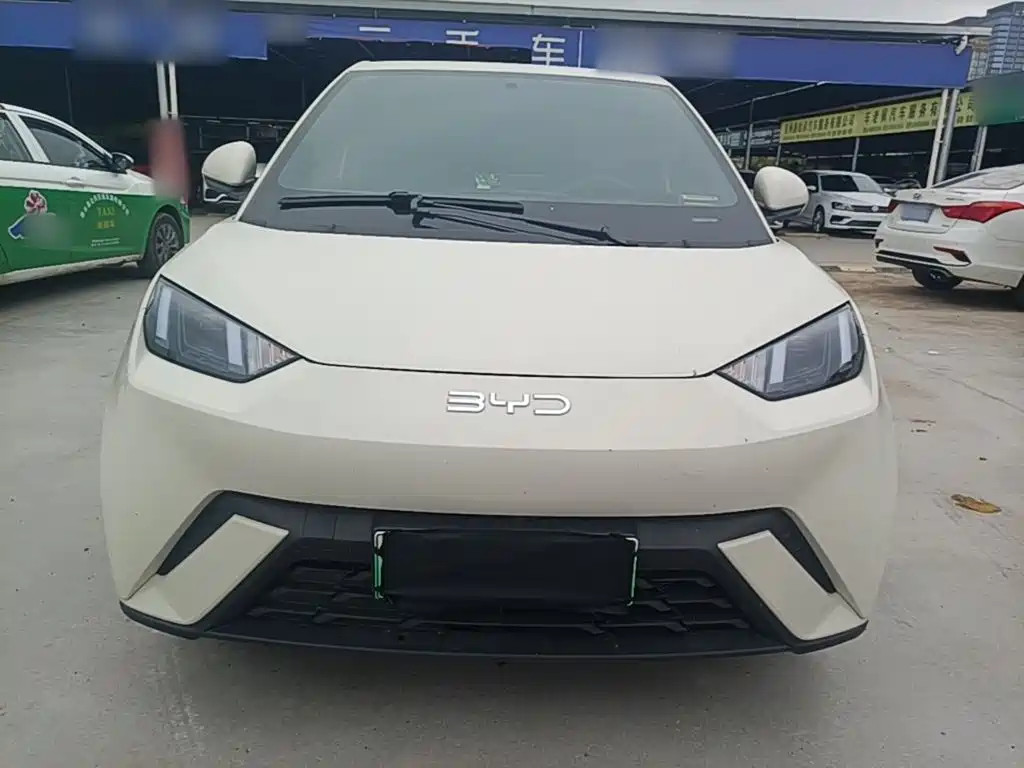 Photo 3 - BYD Seagull