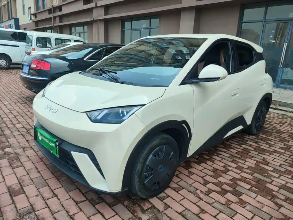 BYD Seagull 2025