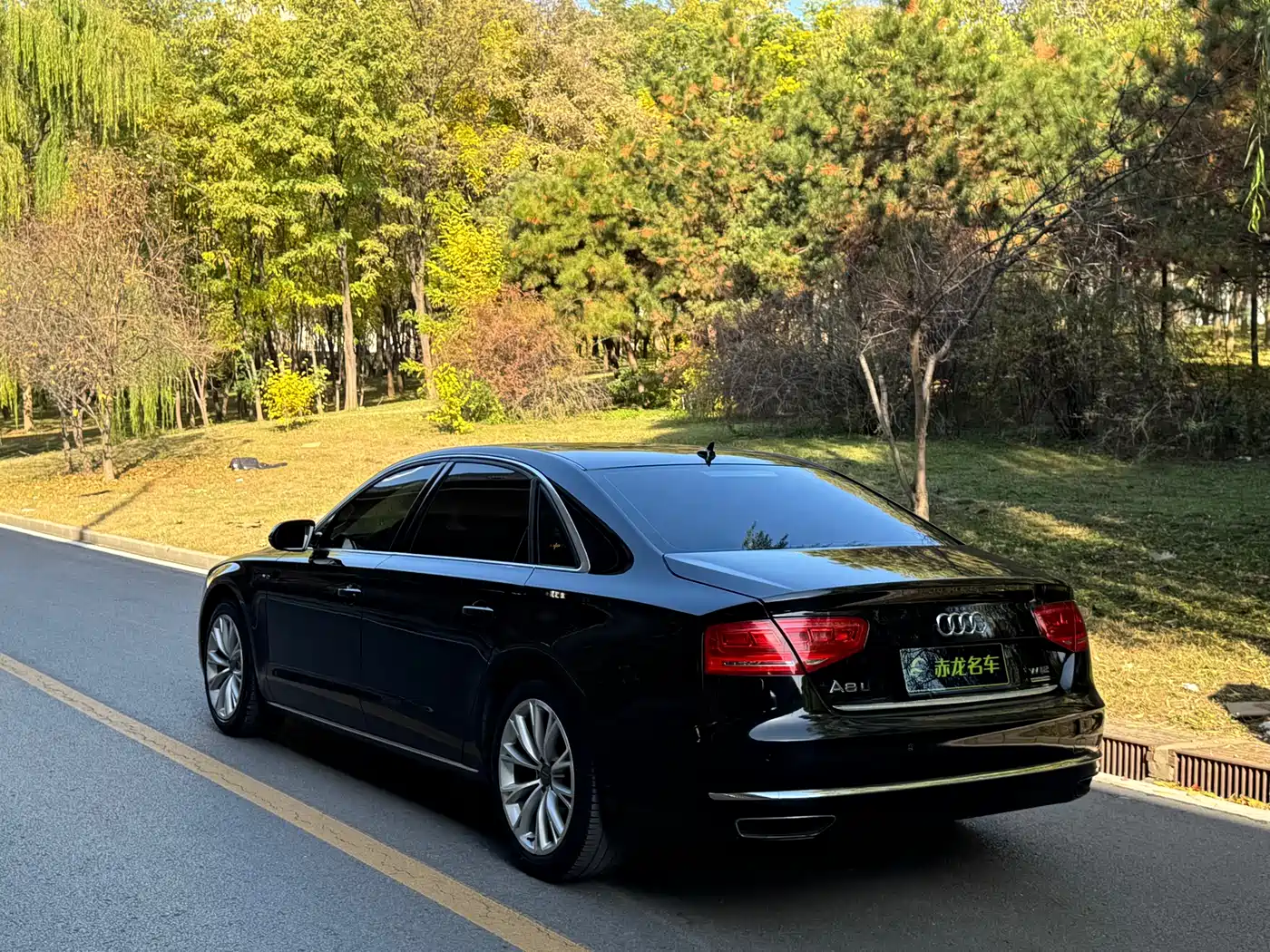 Audi A8 2013 A8L 50 TFSI quattro Premium фото 14