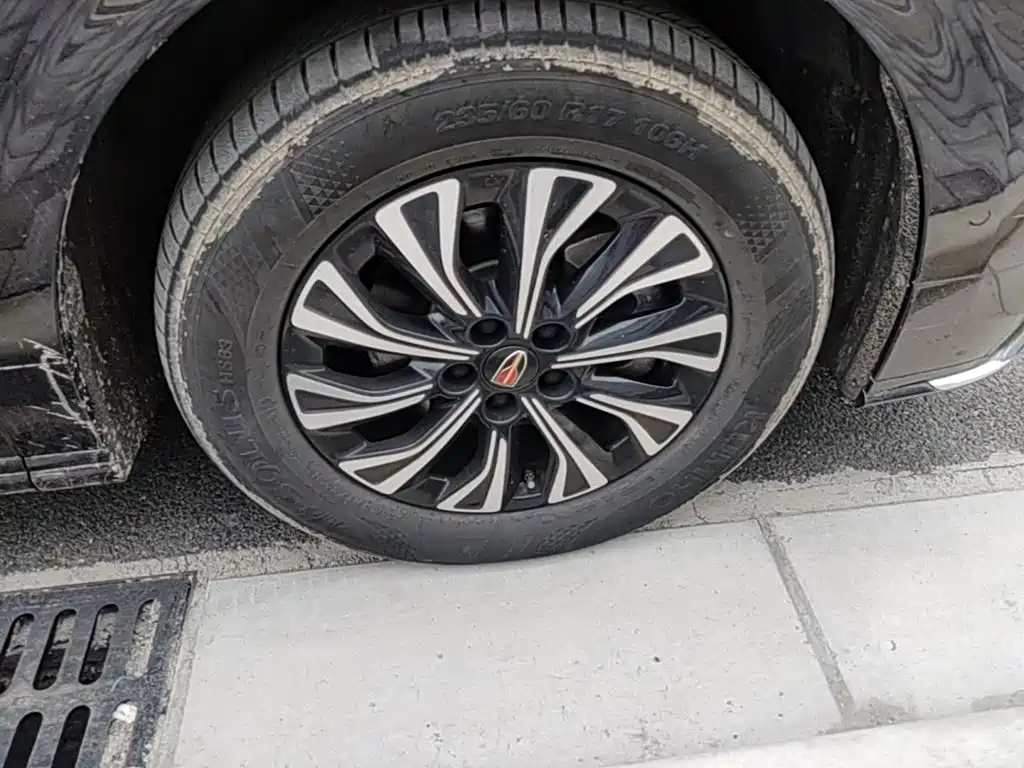 Hongqi HQ9 PHEV 2024 2024 Model 2.0T AWD Business Edition