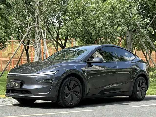  Tesla Model Y 2025 Rear-Wheel Drive