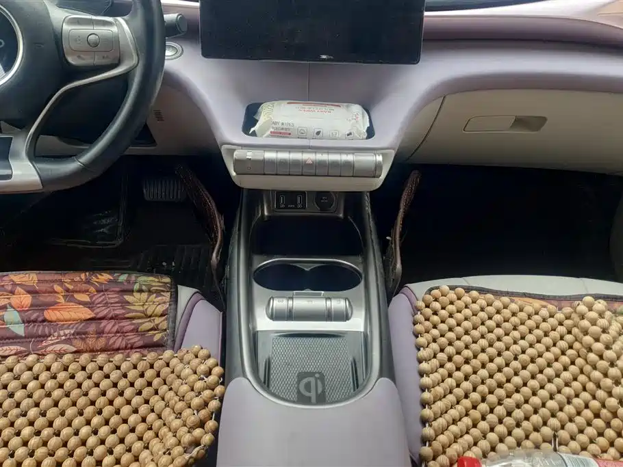 BYD Dolphin 2021 401km Knight Edition фото 16