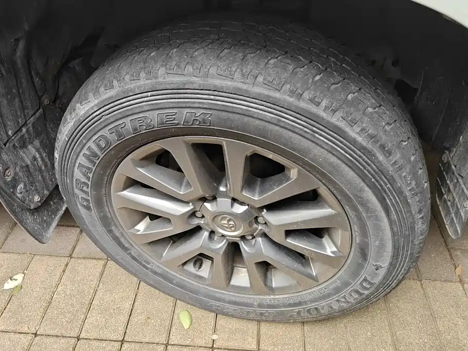Фото 6 - Toyota Prado