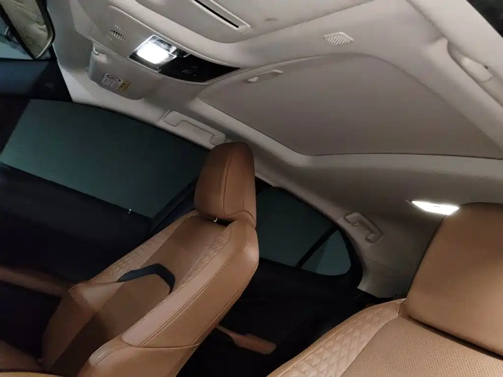 صورة 9 - Lexus UX Electric