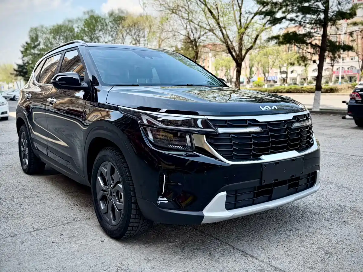 Kia Seltos 2023 1.5L CVT Luxury Edition фото 3