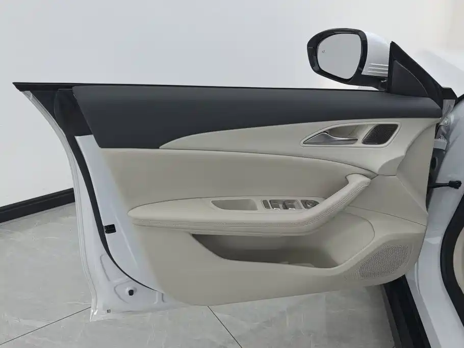 Dongfeng Fengxing Stellar S7 2025 2024 555 Luxury Edition