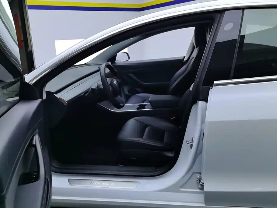 Tesla Model 3 2020 2020 Standard Range Rear-Wheel Drive Upgrade