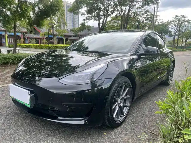 Tesla Model 3 Задний привод