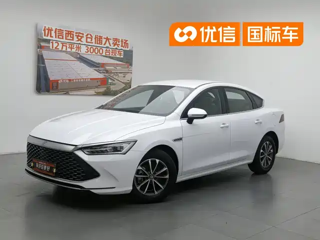 BYD Qin PLUS 2023 Champion Edition DM-i 55KM Leading — фото 1