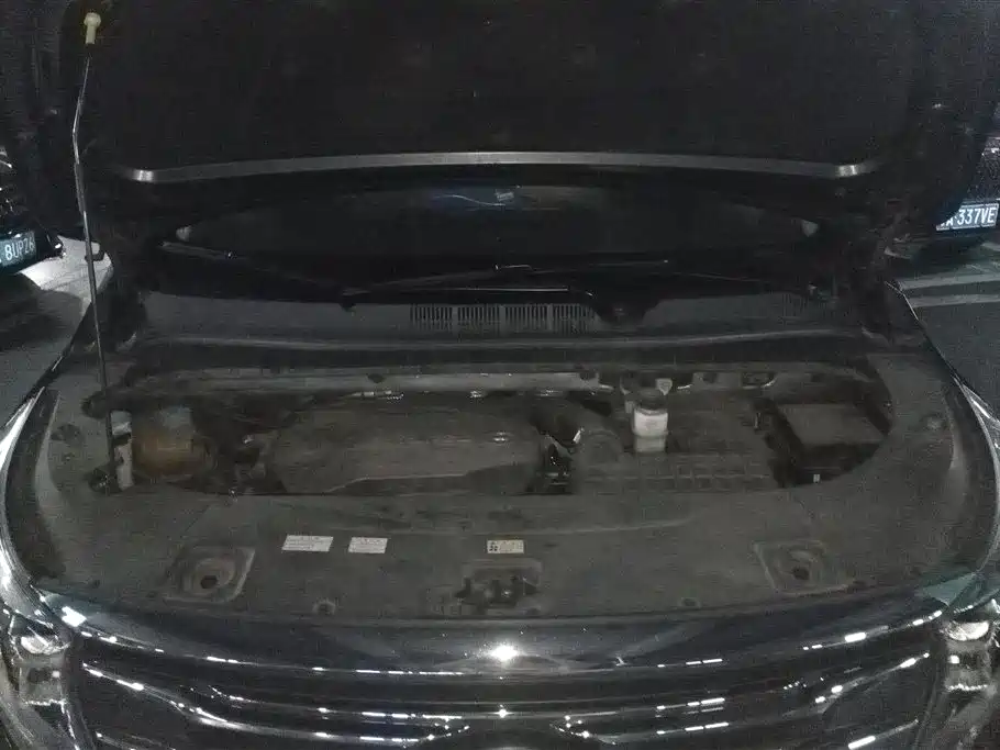 GAC Trumpchi Trumpchi M8 2018 320T Premium Edition фото 10