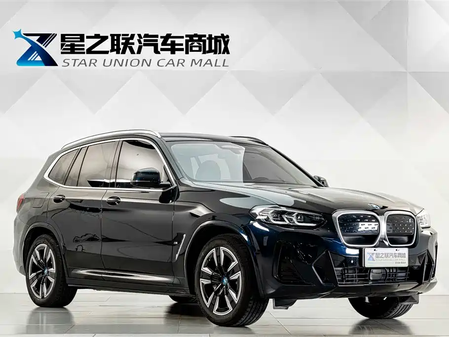 BMW iX3 2024 2023 Leading Type