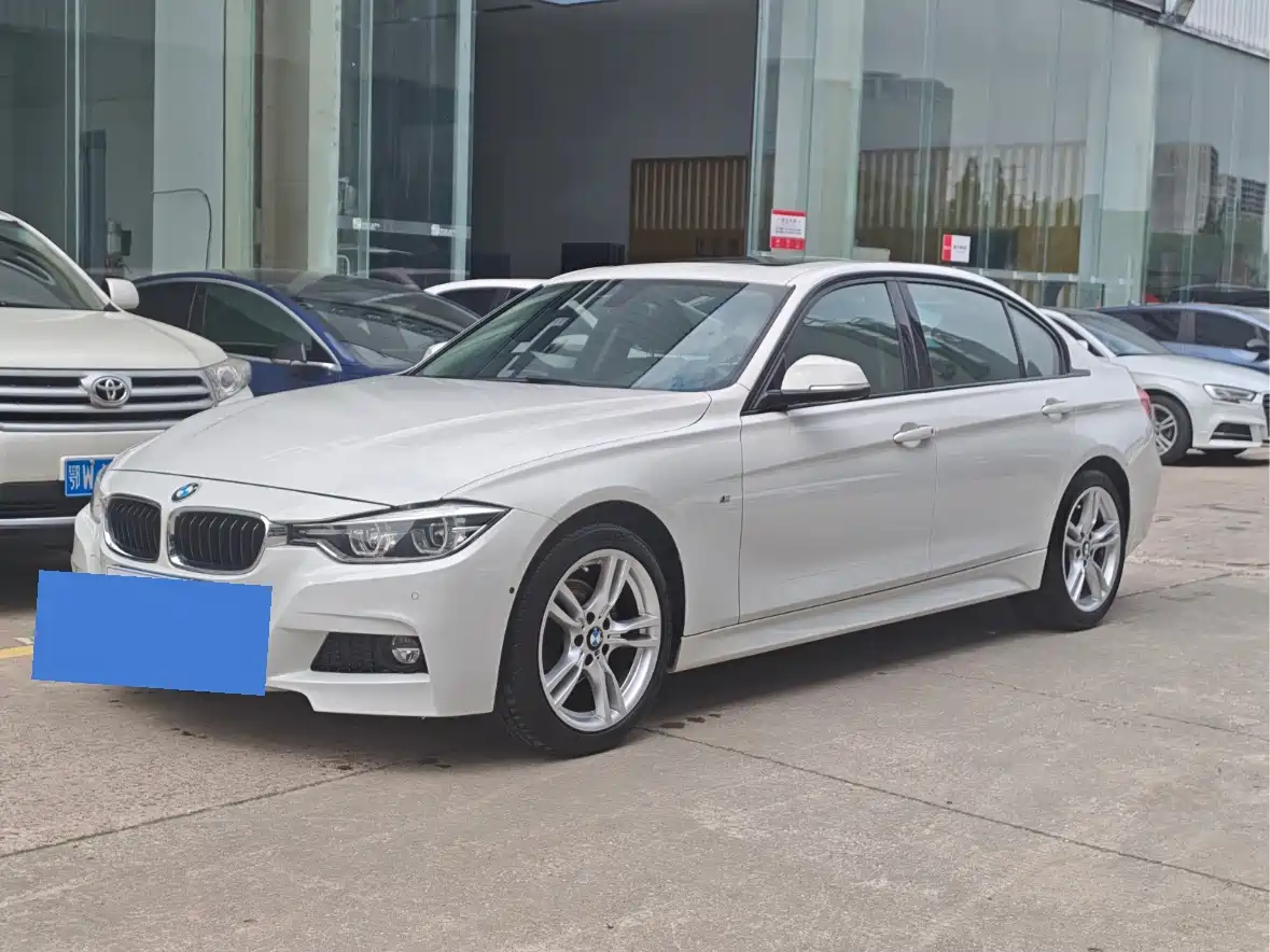 BMW 3 Series 2019 320Li M Sport Package