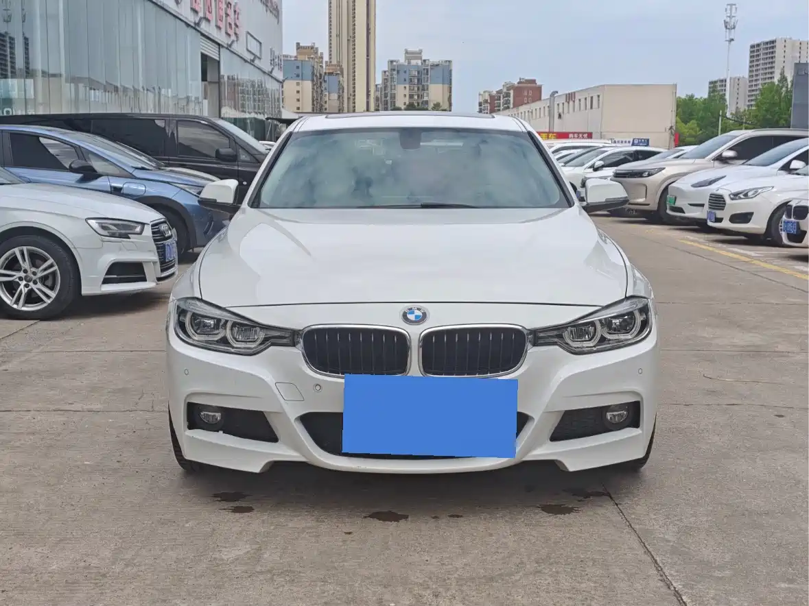 BMW 3 Series 2019 320Li M Sport Package фото 2