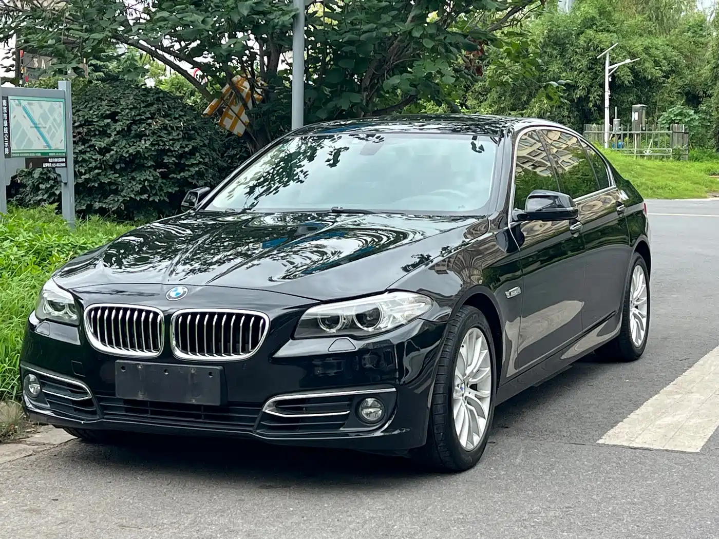 BMW 5 Series 525Li Luxury Design Package