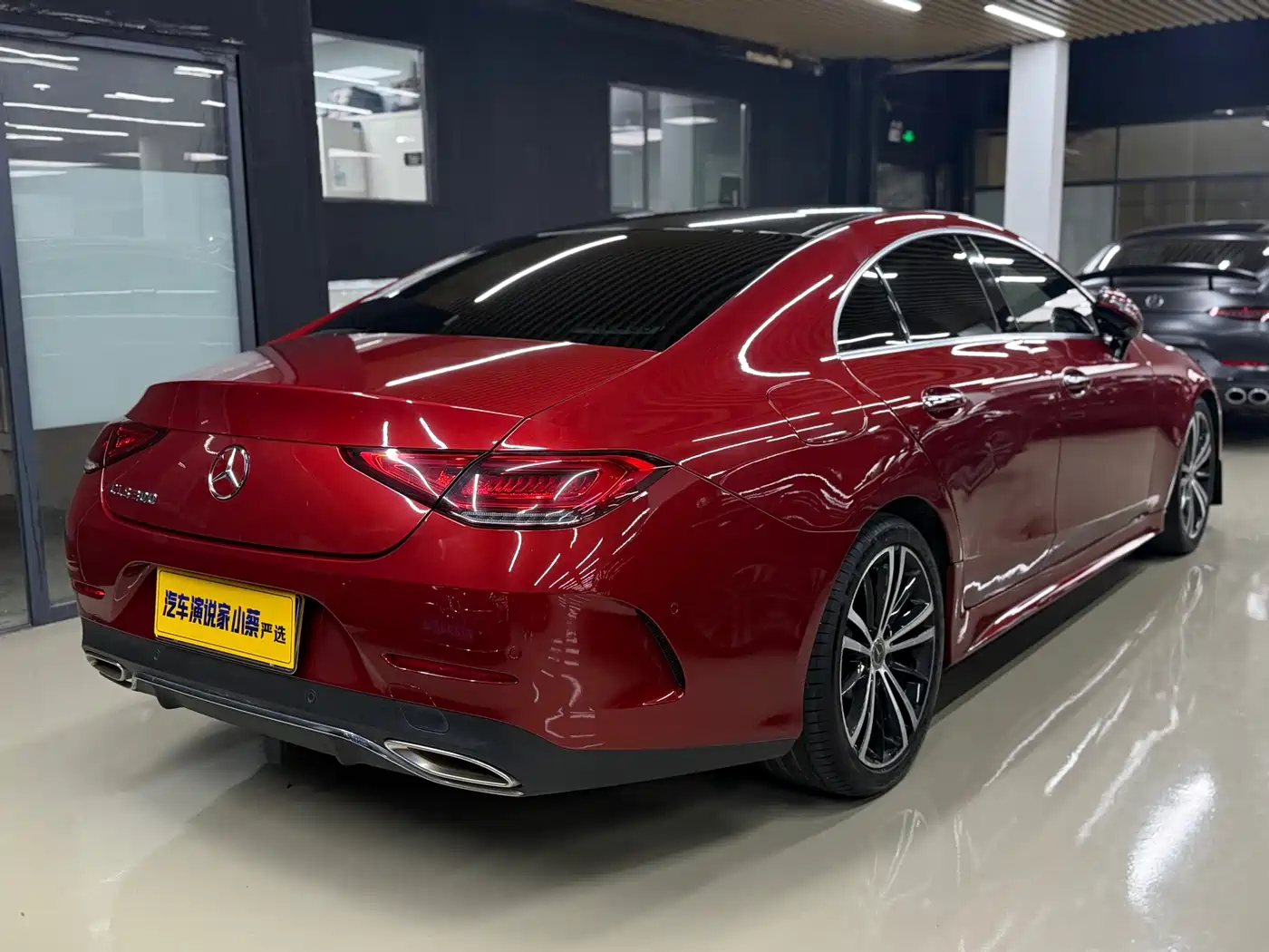 Mercedes-Benz CLS 2018 CLS 300 Luxury фото 11