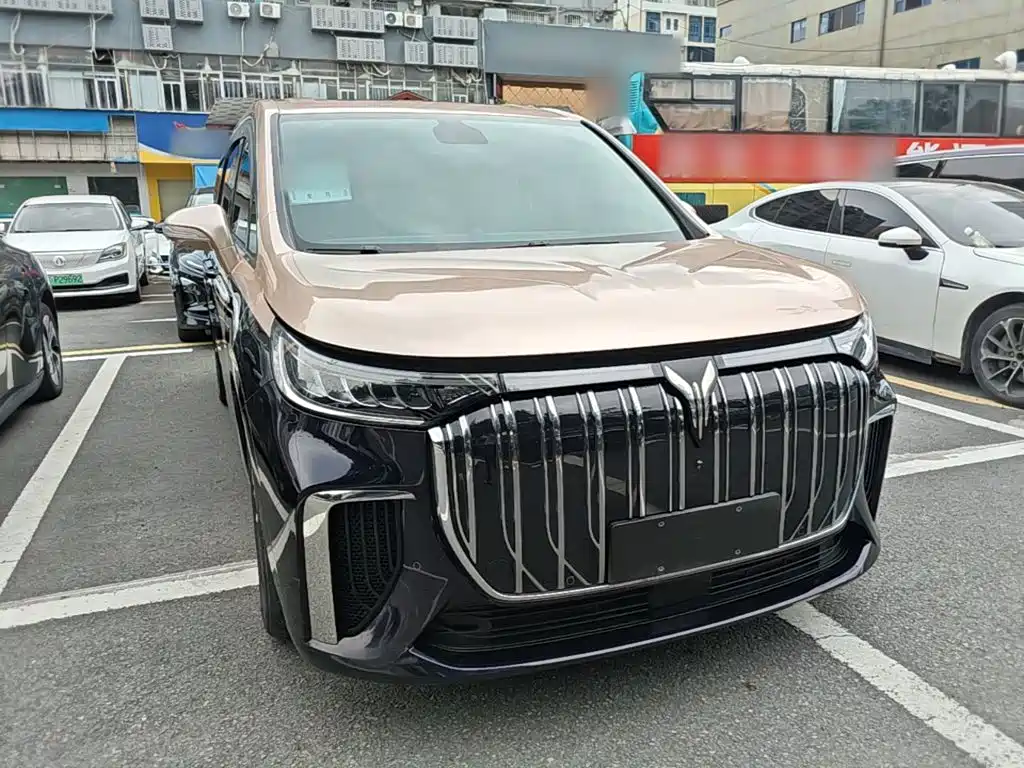 Voyah Auto Voyah Dreamer 2025 2022 Zero Carbon Edition Home 475km