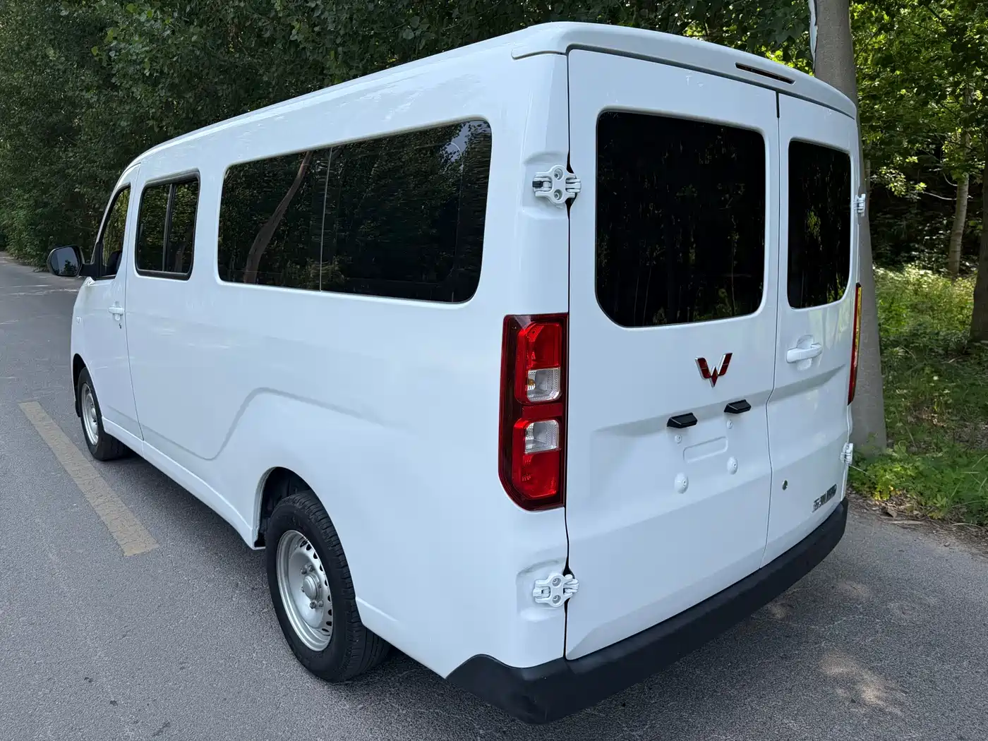 Фото 6 - Wuling Motors Wuling Yangguang