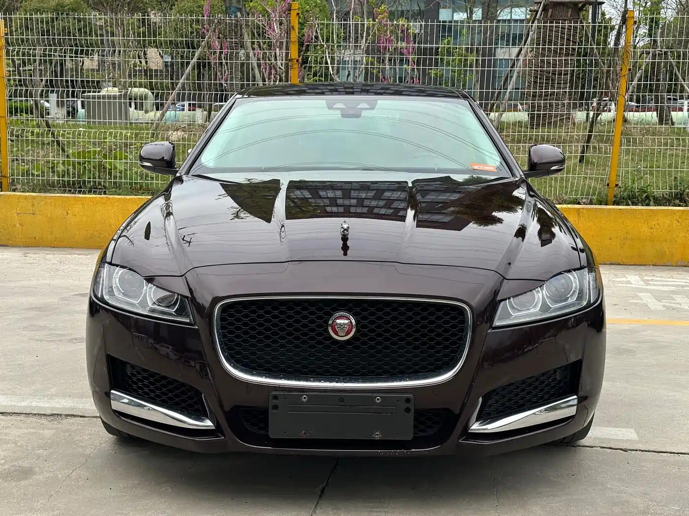 Photo 2 - Jaguar XFL