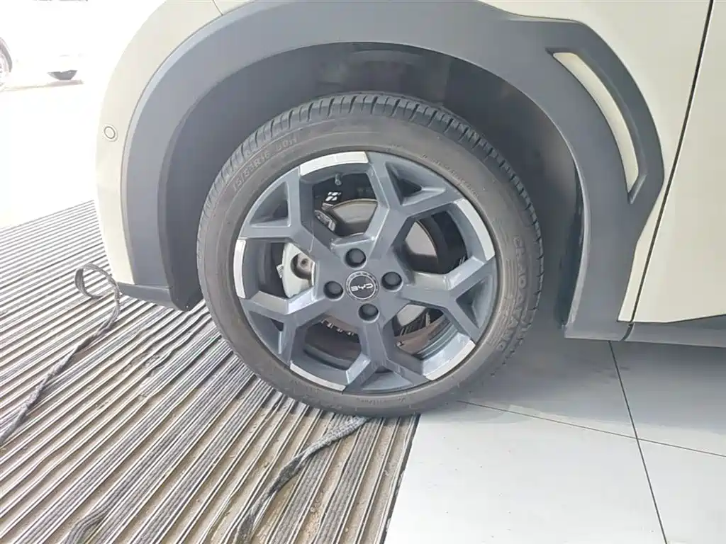 BYD Seagull 2025 Smart Drive Edition 305km Freedom Version фото 25