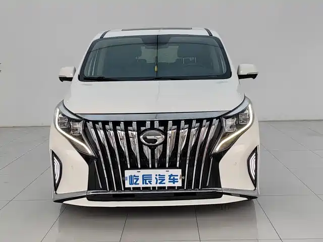 GAC Trumpchi Trumpchi M8 2021 Leading Show Series 390T Prestige Edition — фото 2