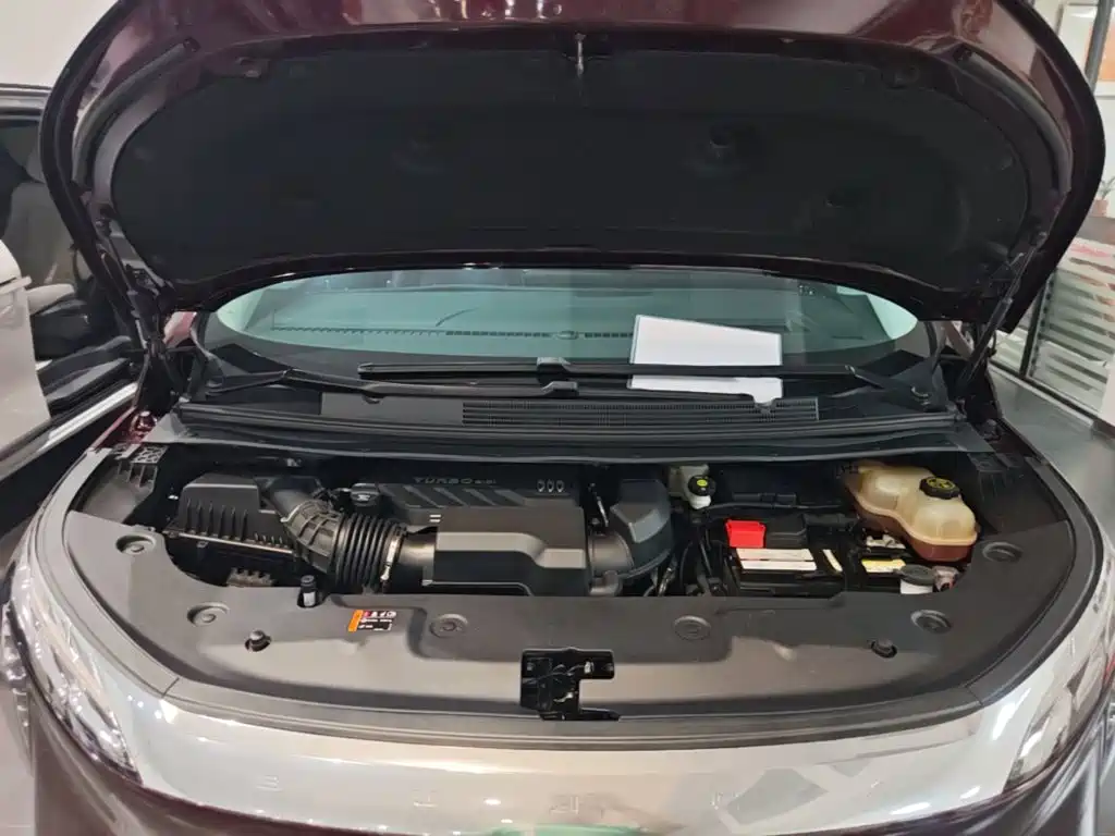 Buick Century 2024 2023 2.0T 6-Seat World Edition