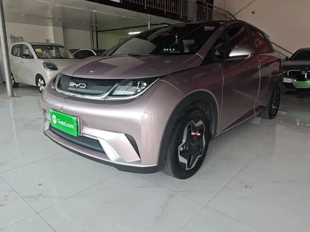 BYD Dolphin 2021