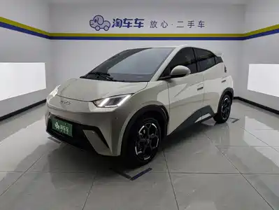 BYD Seagull
