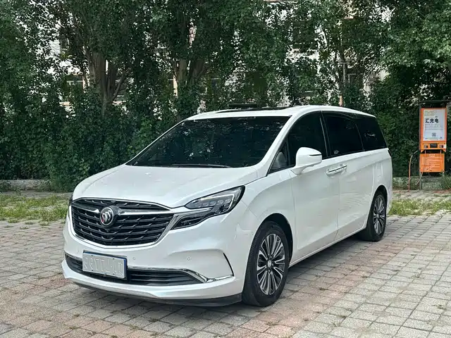 Buick GL8 ES Люкс, 653T, Люкс