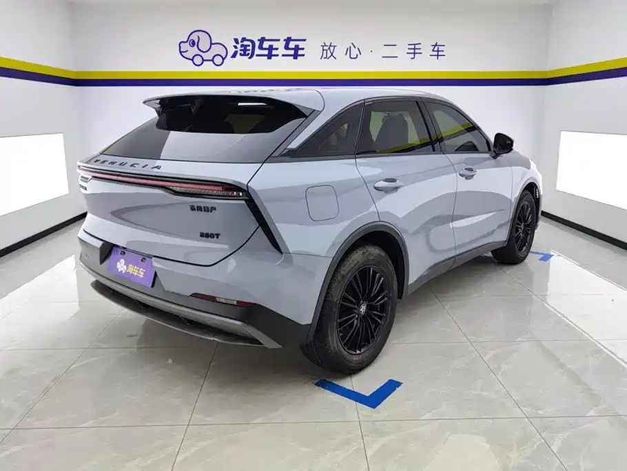 Venucia Big V 2022 2021 260T Idol Edition