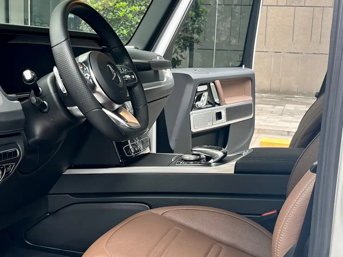 Mercedes-Benz G-Class 2020 G 350 фото 13