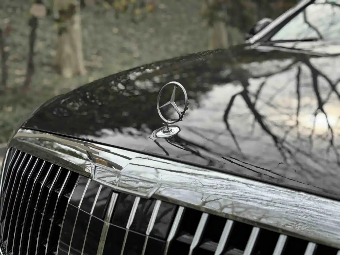 Mercedes-Benz S-Class 2014 S 320 L Business фото 15
