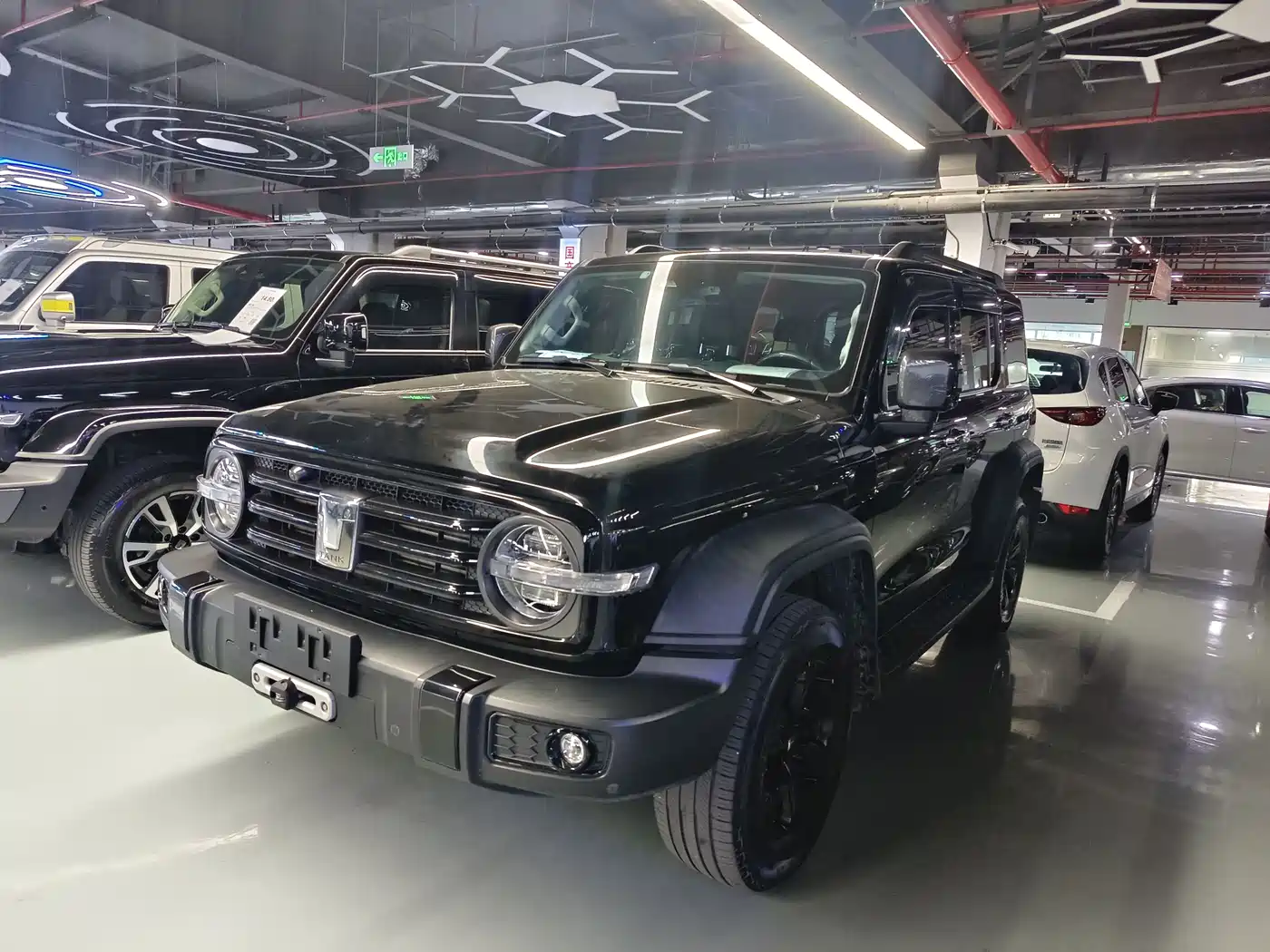 Tank 300 2021 Off-road Version 2.0T Conqueror