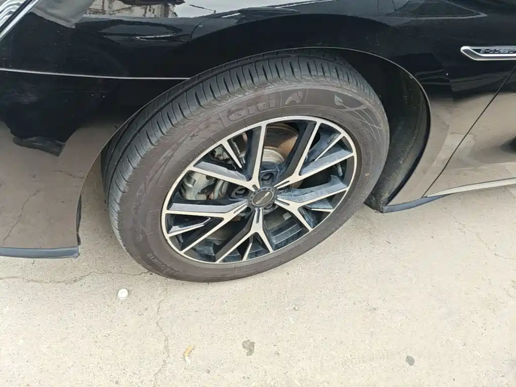 BYD e9 2023 2022 Model Year Business Edition