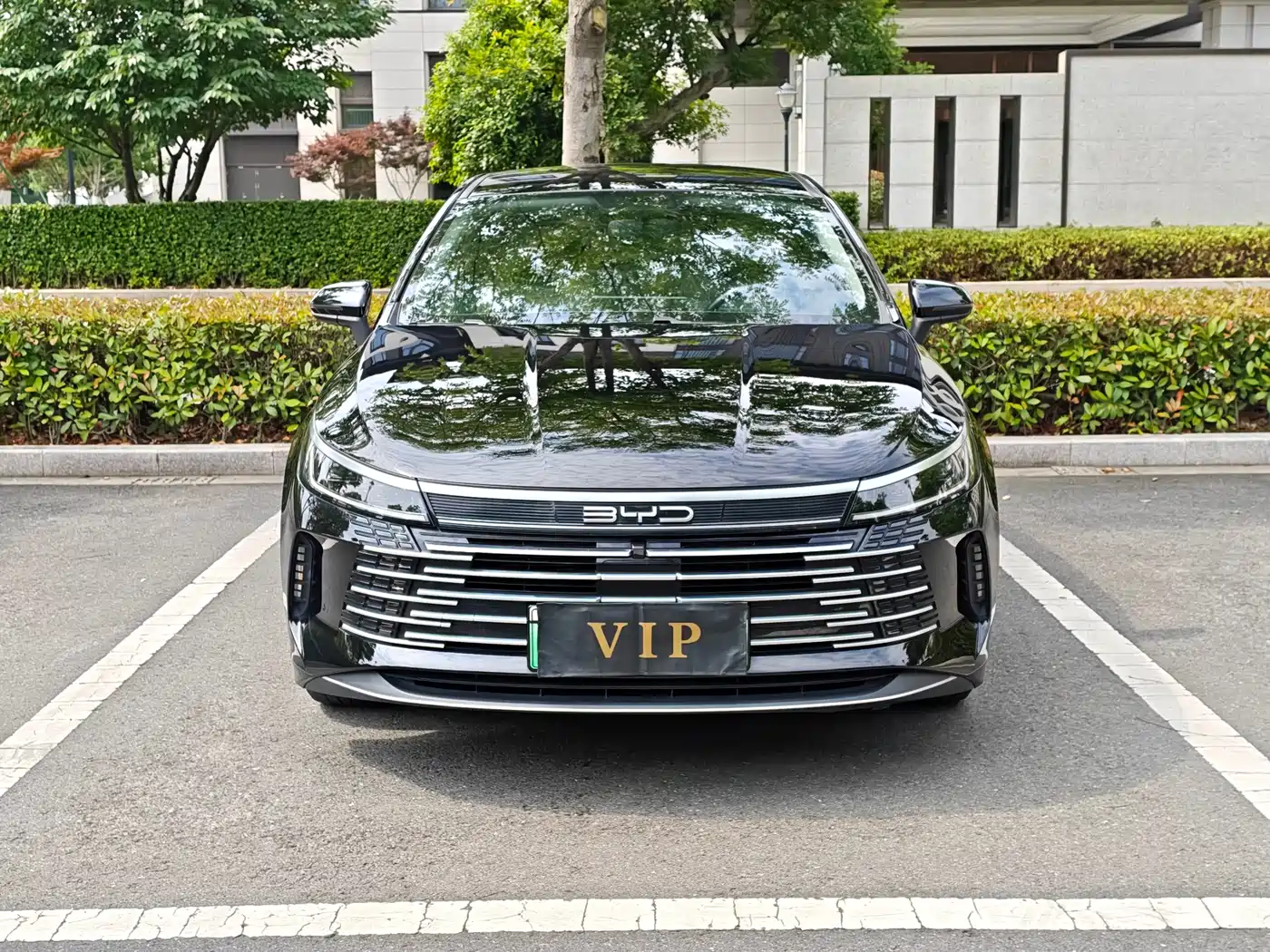 BYD Destroyer 05 2024 Glory Edition DM-i 55KM Luxury