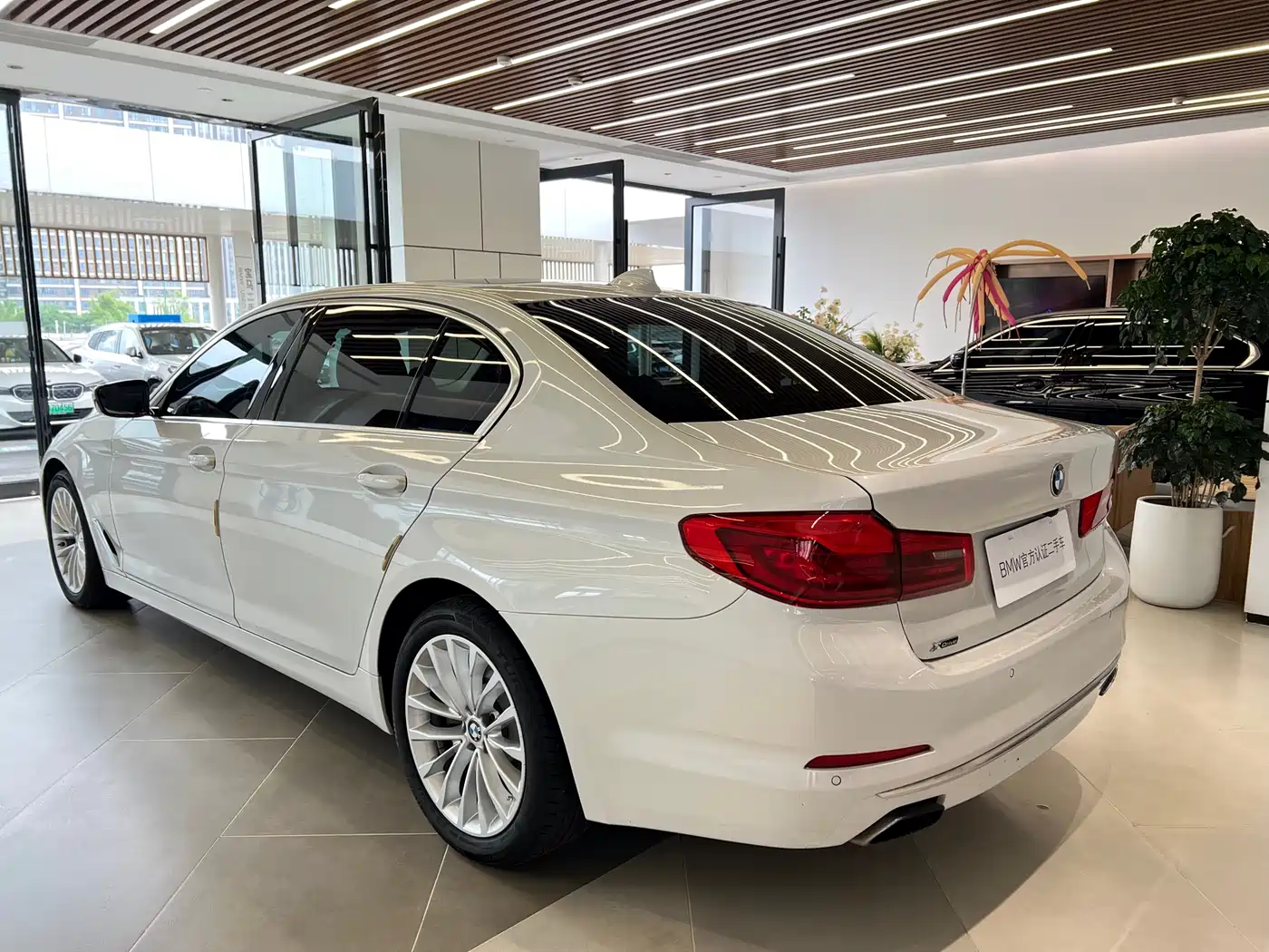 BMW 5 Series 2019 530Li Leading Luxury Package фото 7