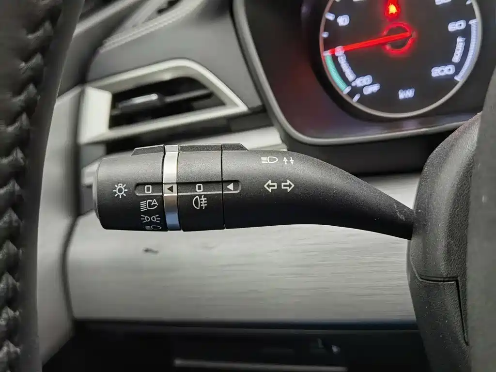 BYD Qin New Energy 2021 2019 Long Range Luxury Edition