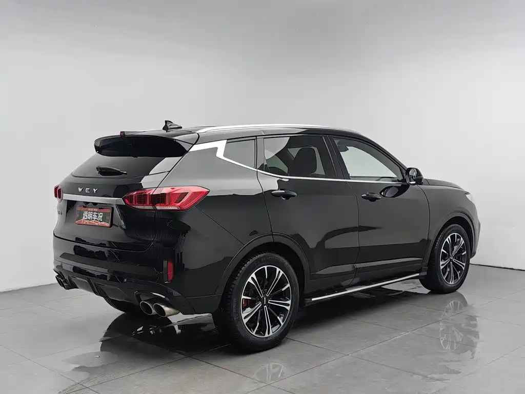 2021 WEY VV6