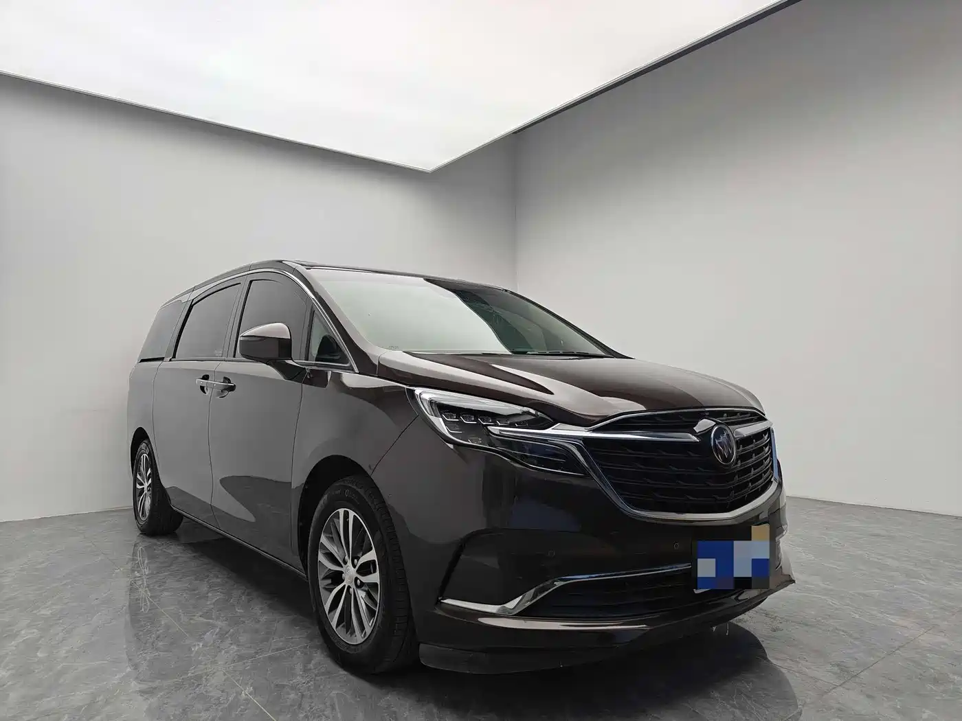 Buick GL8 2021 ES Landlord 653T Premium фото 3